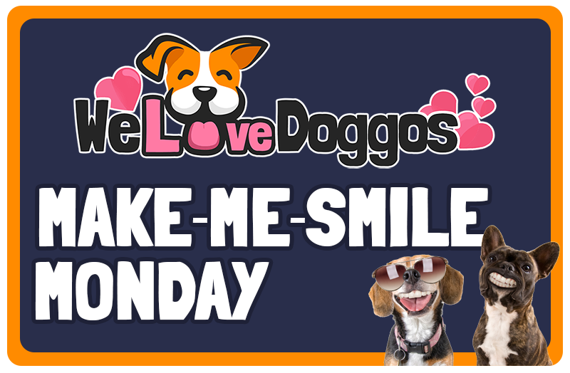 Make Me Smile Monday - Volume 9