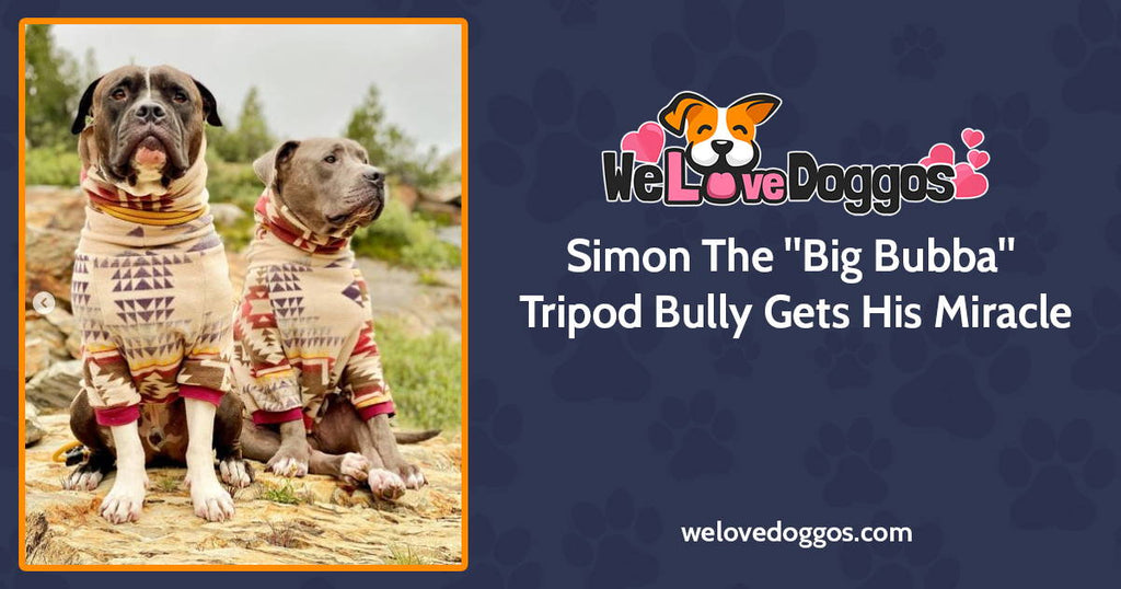 Simon The Big Bubba Bully Gets His Miracle