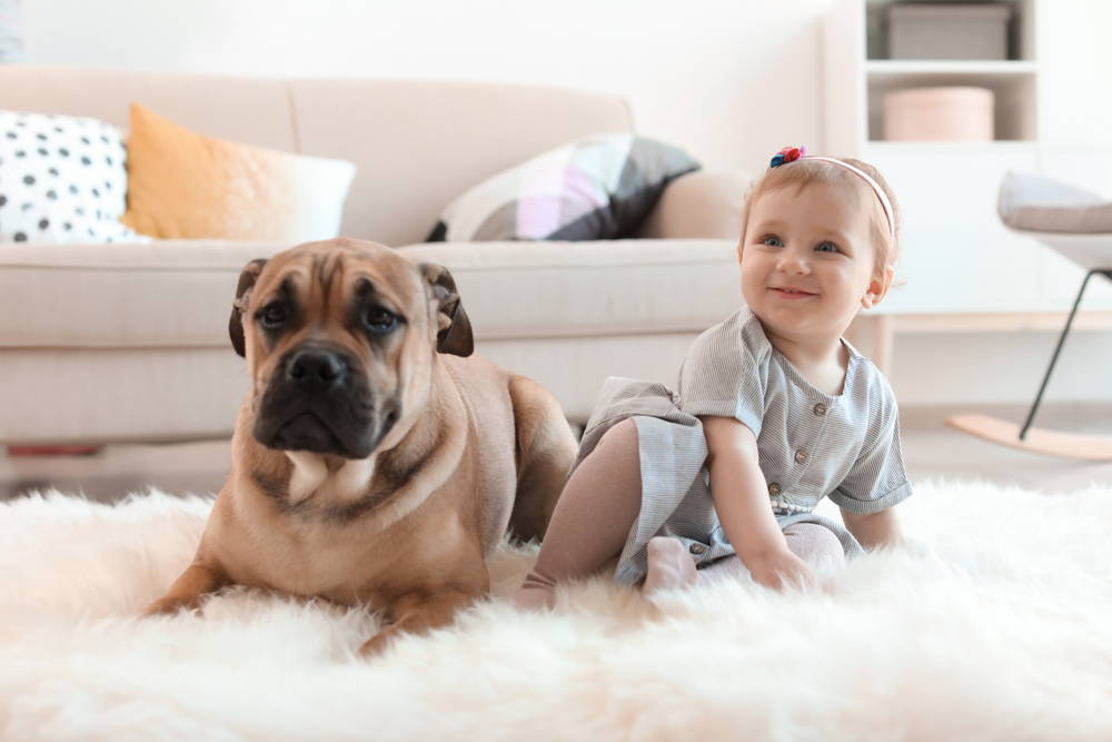 Study Shows: Toddlers Want To Help Doggos Instinctively and Impulsively