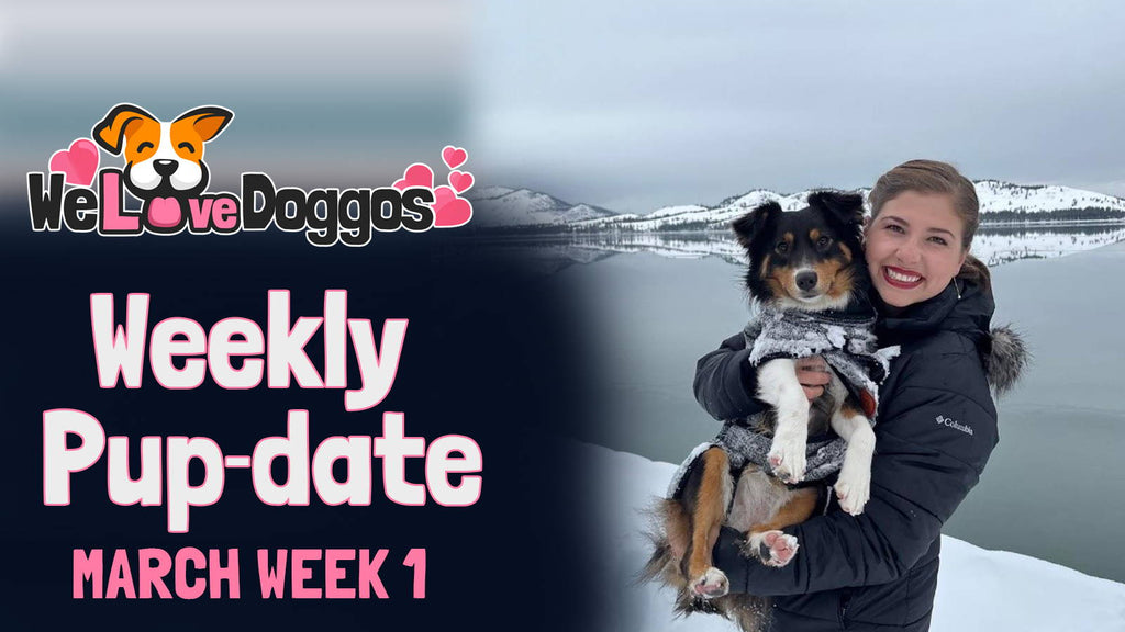 Weekly Charity PUPdate - March Week 1