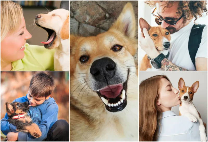9 Heartwarming Moments Of Rescue Dogs Going Home With Their New Families