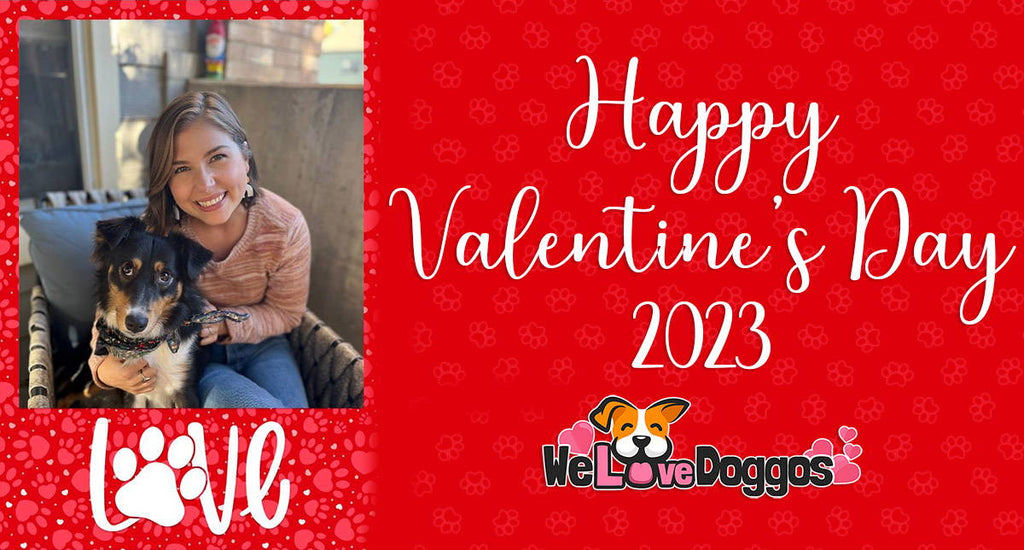 Happy Valentines Day 2023 From We Love Doggos!!