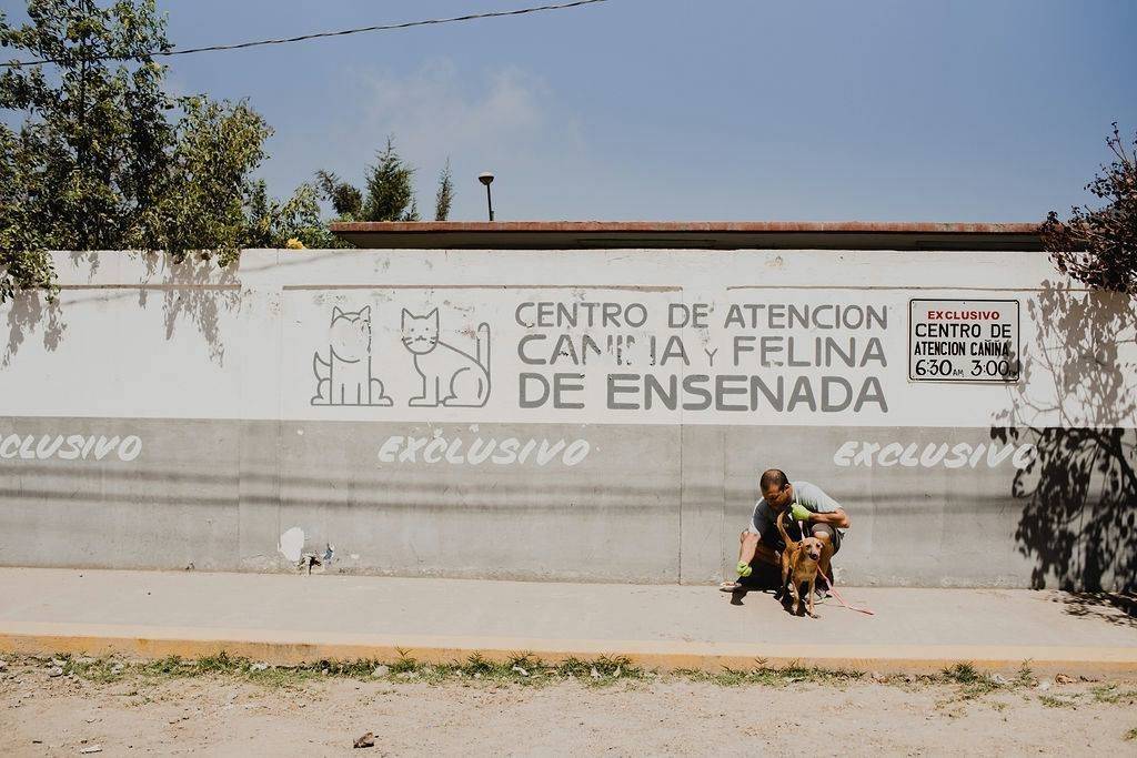 Mission: Shot of Love - Vaccinating And Saving Doggos In Mexico