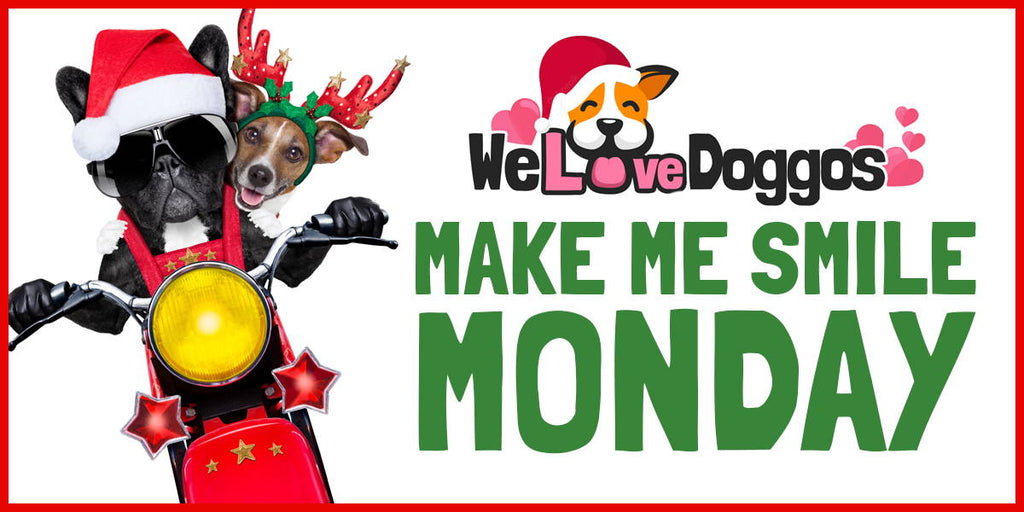Make Me Smile Monday Volume 15