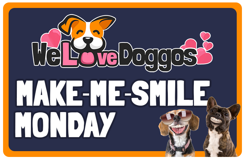Make Me Smile Monday Volume 5