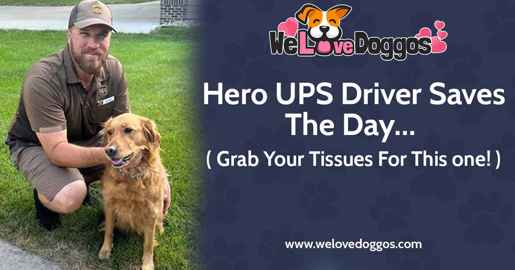 Hero UPS driver saves the day... Grab Your Tissues For This one!
