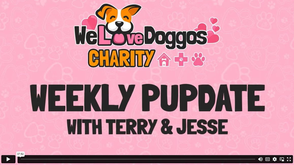 Weekly Charity PUPdate - June Week 4