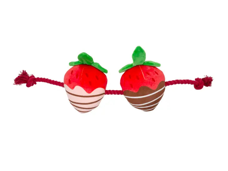 Chocolate Covered Strawberry Rope Tug Toy