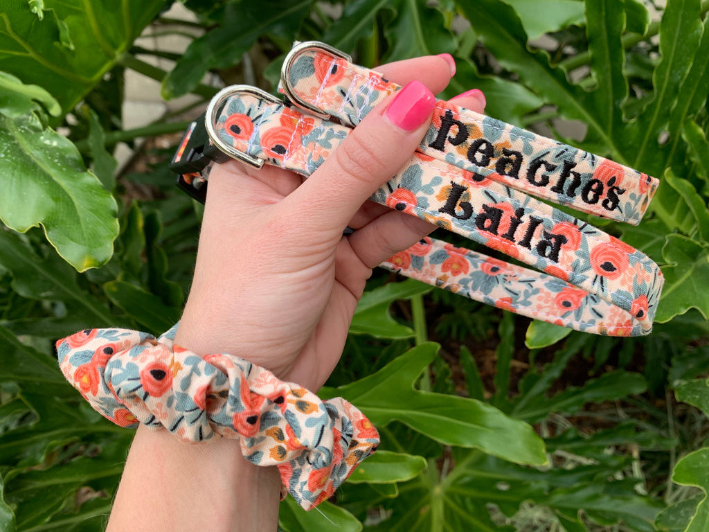 Coral Rifle Paper Dog Collar