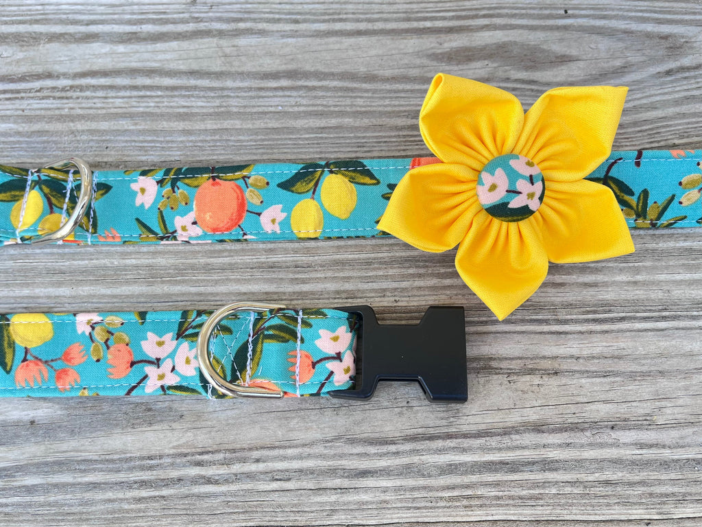 Florida Citrus Dog Collar