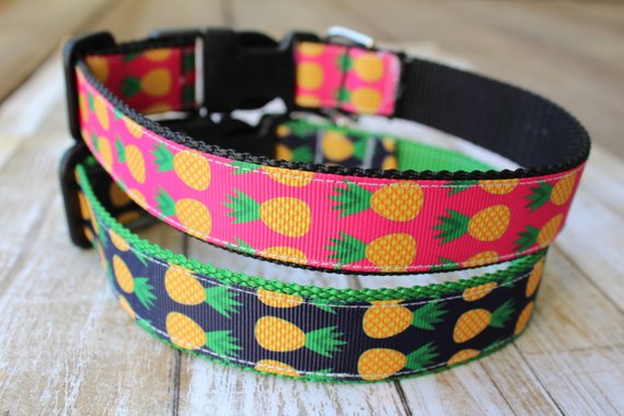Pineapple Dog Collar