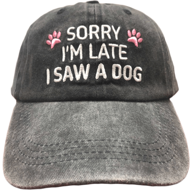 Sorry I'm Late I Saw A Dog Premium Hat